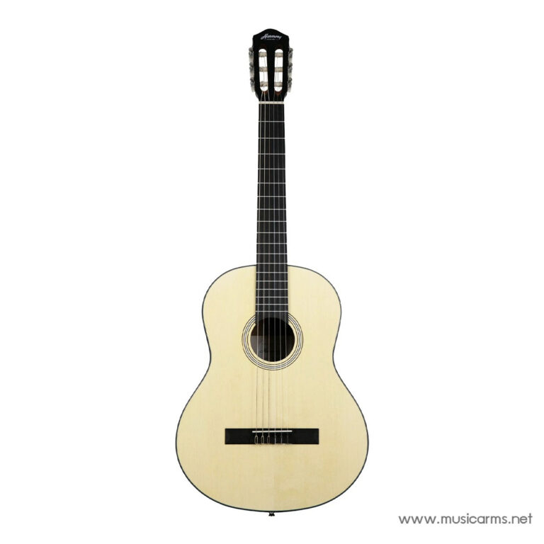 Harmony Foundation Series Terra Classical ขายราคาพิเศษ