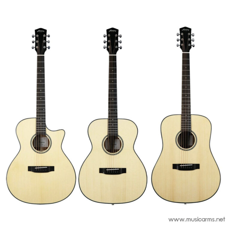 Harmony Foundation Series Terra FS Dreadnought, GA Cutaway, OM ขายราคาพิเศษ