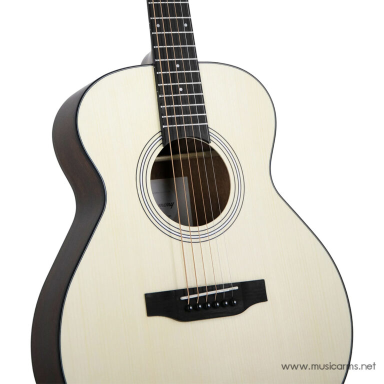 Harmony Foundation Series Terra Petite ขายราคาพิเศษ