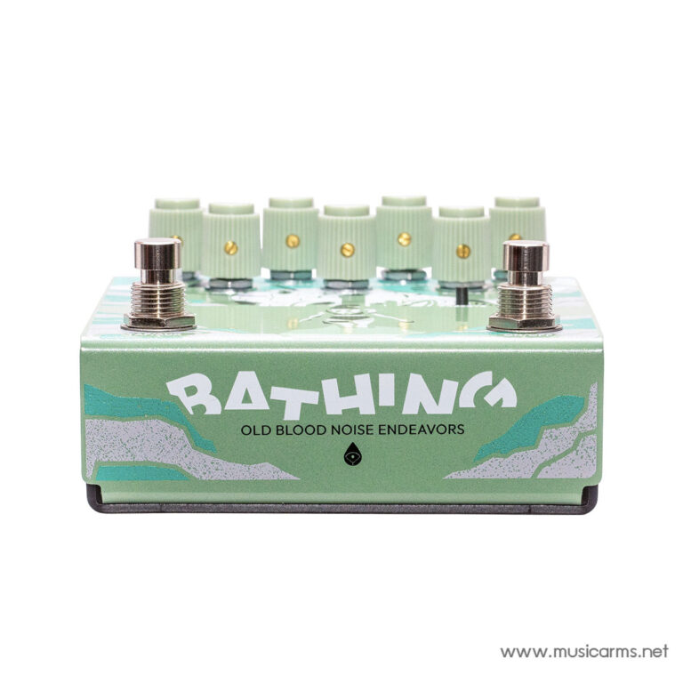 Old Blood Noise Endeavors Bathing liminal Delay Pedal in Algae ขายราคาพิเศษ