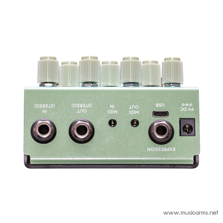 Old Blood Noise Endeavors Bathing liminal Delay Pedal in Algae ขายราคาพิเศษ