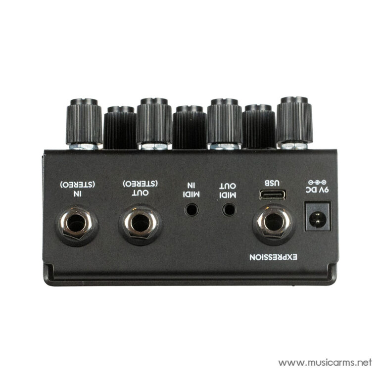 Old Blood Noise Endeavors Bathing liminal Delay Pedal in Ink ขายราคาพิเศษ