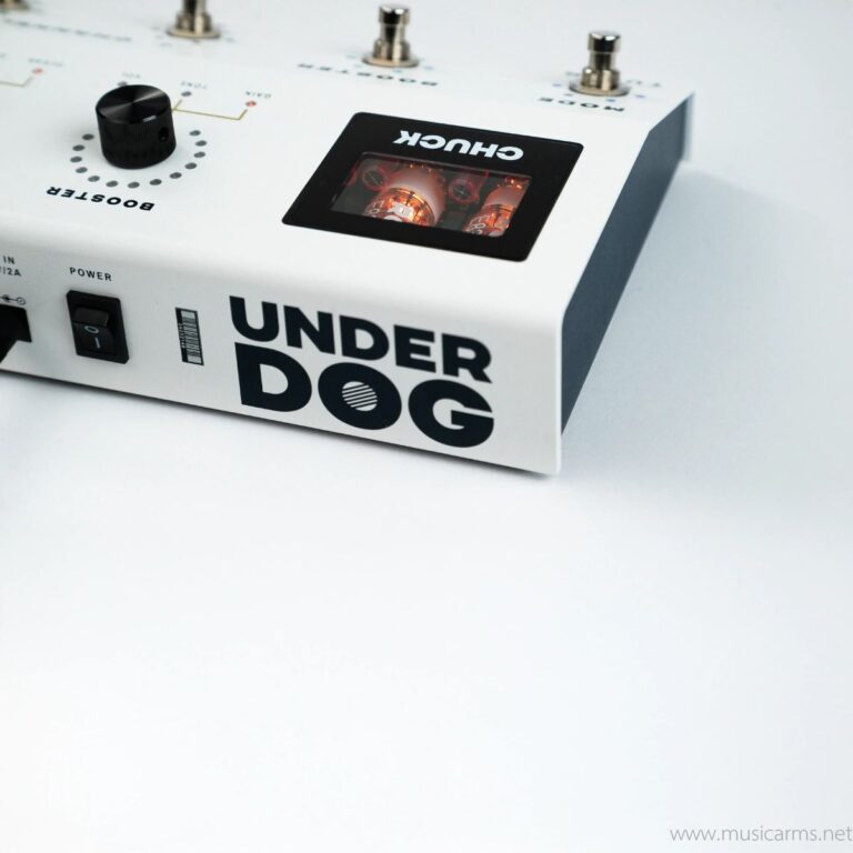Underdog Audio CHUCK 50W Tube Head ขายราคาพิเศษ