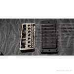 PRS SE Mark Holcomb SVN กีตาร์ไฟฟ้า ขายราคาพิเศษ