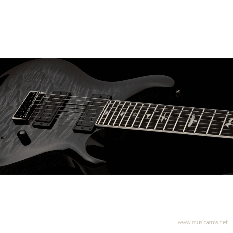 PRS SE Mark Holcomb SVN กีตาร์ไฟฟ้า ขายราคาพิเศษ