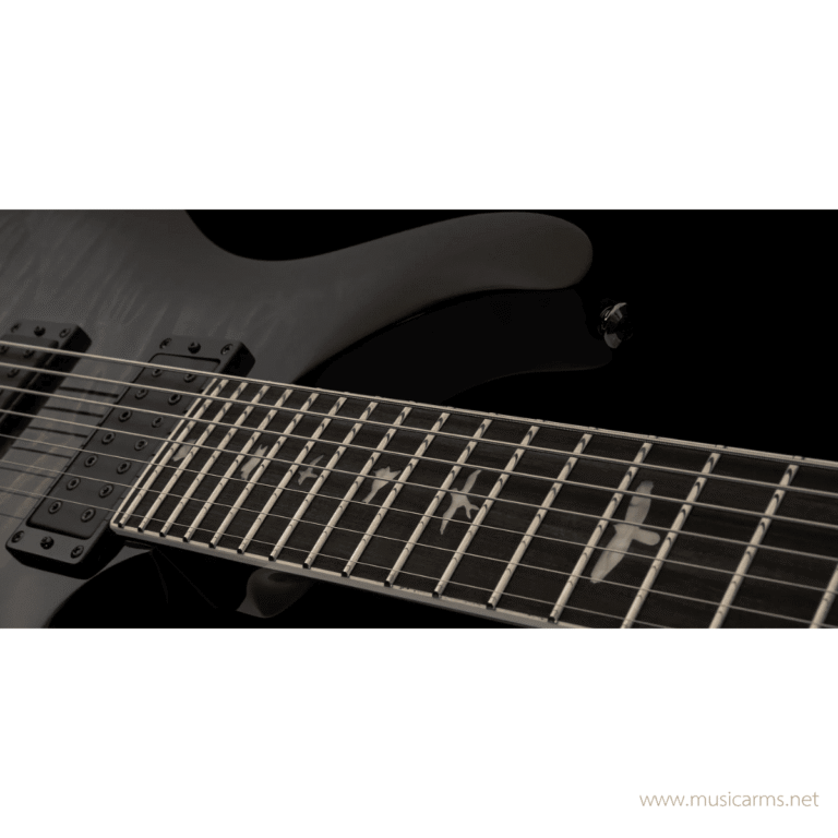 PRS SE Mark Holcomb SVN กีตาร์ไฟฟ้า ขายราคาพิเศษ