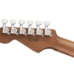 Charvel Rick Graham Signature MJ DK24 2PT CM ขายราคาพิเศษ