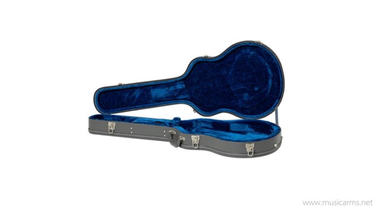 Epiphone 150th Anniversary Sheraton ขายราคาพิเศษ