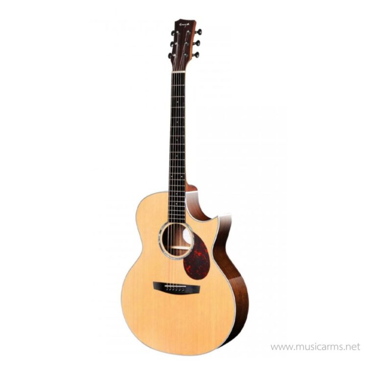 Enya EA-Q1 EQ ขายราคาพิเศษ