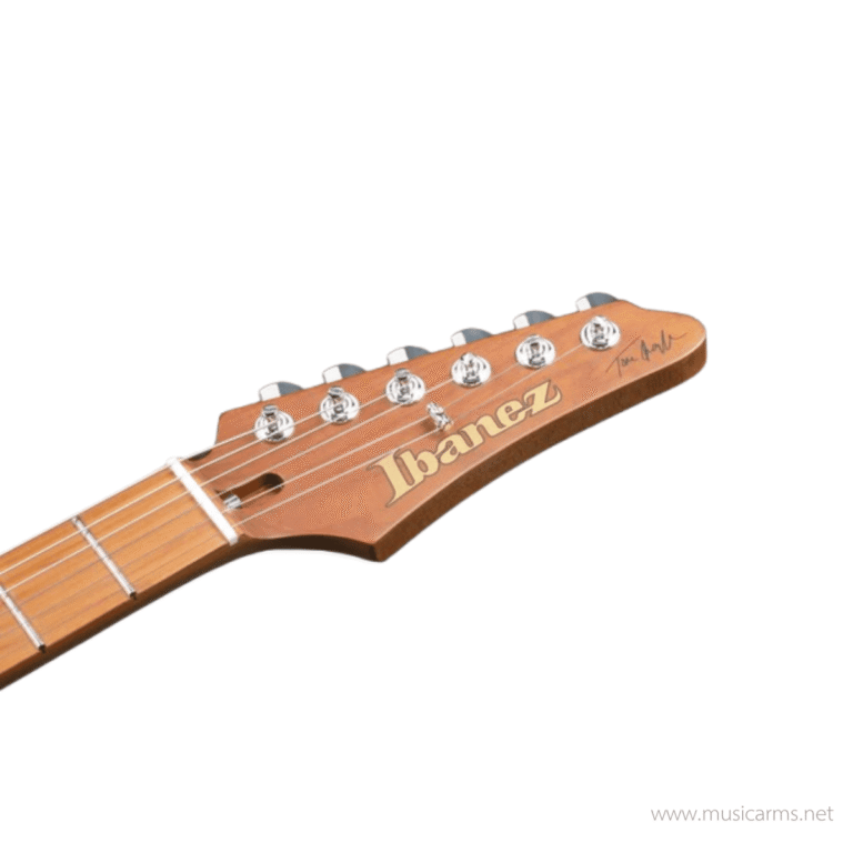 Ibanez TQM1-NTF Tom Quayle Signature กีตาร์ไฟฟ้า ขายราคาพิเศษ