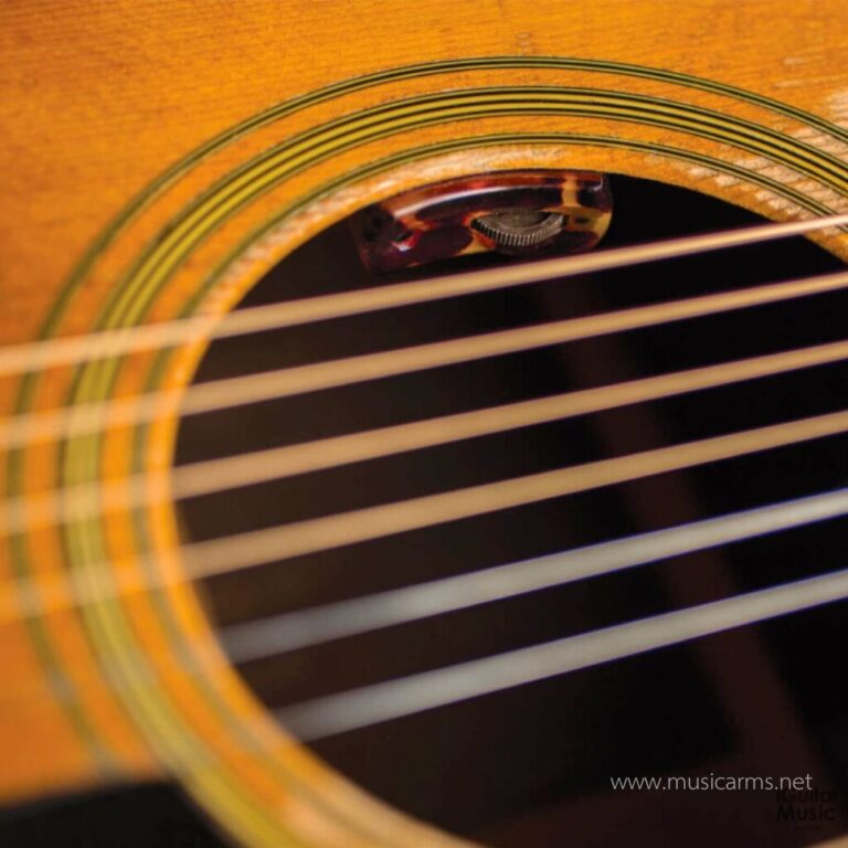 LR Baggs Lyric Acoustic Guitar Microphone System with Preamp ขายราคาพิเศษ