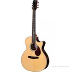 Enya EGA-Q1 Pro EQ ลดราคาพิเศษ