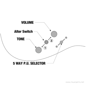 Ibanez TQM1-NTF Tom Quayle Signature กีตาร์ไฟฟ้า