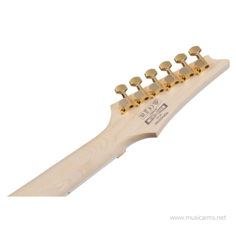 Ibanez RGR420FMSP – Transparent Gray Flat ขายราคาพิเศษ