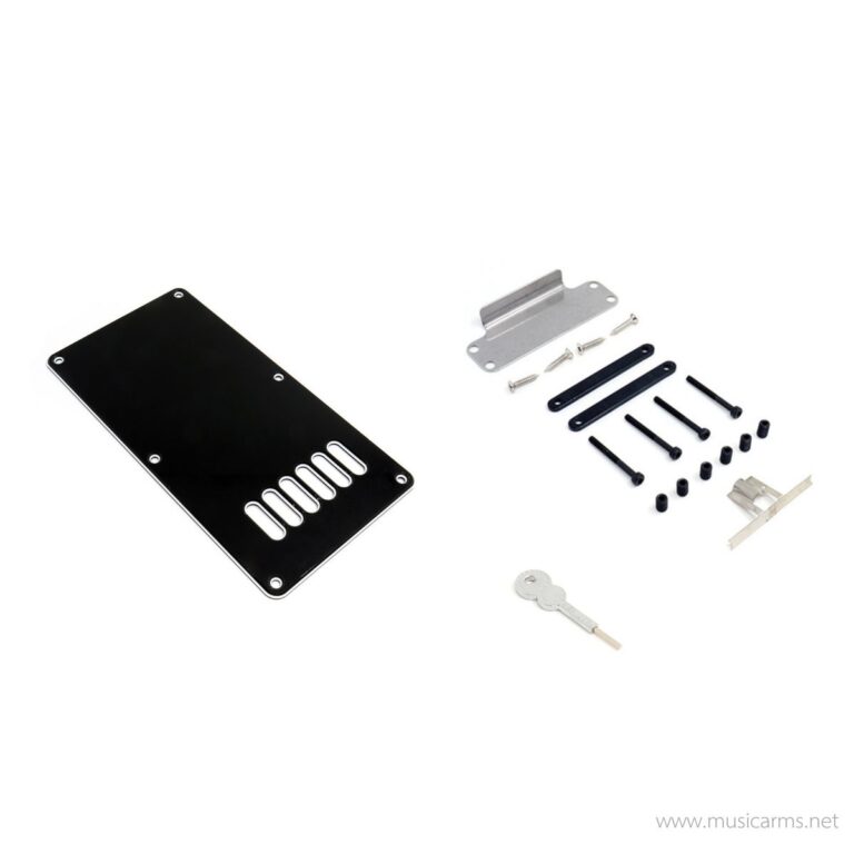 Evertune F-8 Model (8-String) ขายราคาพิเศษ