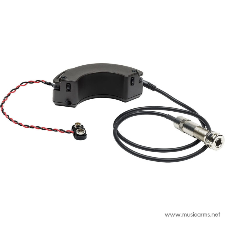 Fishman Fluence Acoustic Nashville Legend ขายราคาพิเศษ