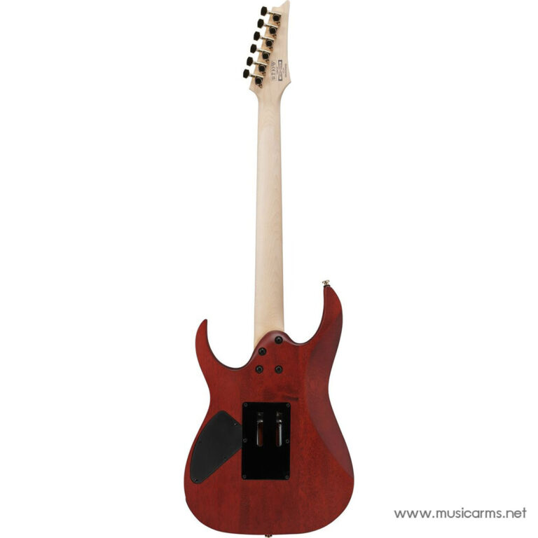 Ibanez RGR420FMSP ขายราคาพิเศษ