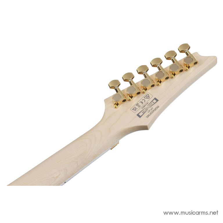 Ibanez RGR420FMSP ขายราคาพิเศษ