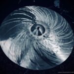 Kmicic Fast Crash Cymbal Titanium 18”-22” ขายราคาพิเศษ