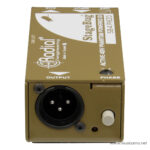 Radial StageBug SB-4 Piezo ขายราคาพิเศษ