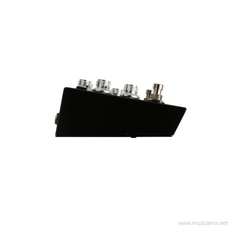 Rainger FX Chop Fuzzz (incl. Igor) ขายราคาพิเศษ