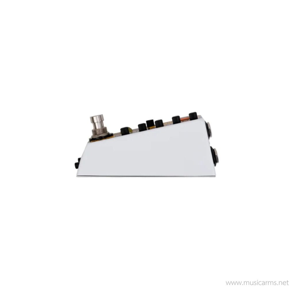 Rainger FX Echo-X (incl. Igor) | | Music Arms