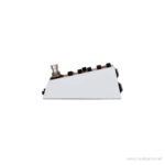 Rainger FX Echo-X (incl. Igor) ขายราคาพิเศษ