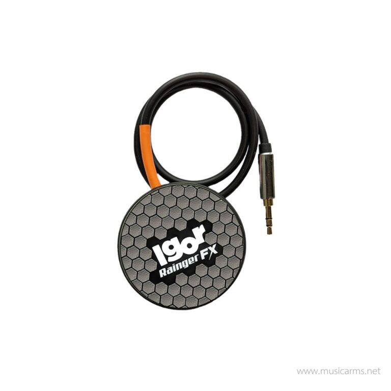 Rainger FX Igor Expression Pad ขายราคาพิเศษ