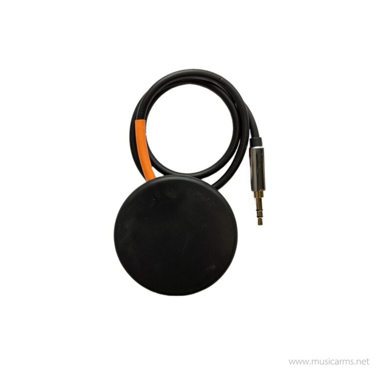 Rainger FX Igor Expression Pad ขายราคาพิเศษ