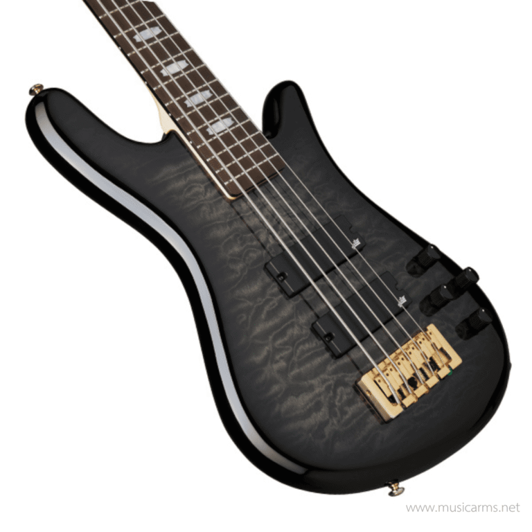 Spector Icon NS-5 Bolt-On Black Stain Gloss ขายราคาพิเศษ