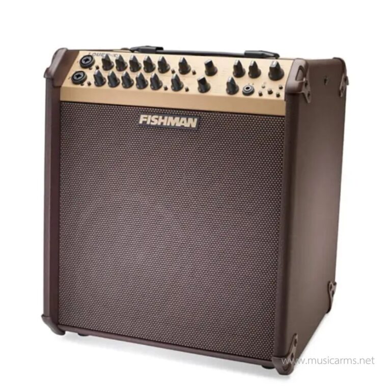 แอมป์อคูสติก Fishman Loudbox Performer Bluetooth ขายราคาพิเศษ