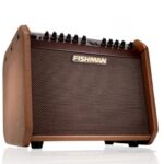 แอมป์อคูสติก Fishman Loudbox Mini Charge ขายราคาพิเศษ