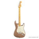 Fender American Professional Classic Stratocaster ขายราคาพิเศษ