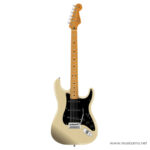 Fender Limited Edition American Professional II Stratocaster V Shape Neck Blackguard Blonde ลดราคาพิเศษ