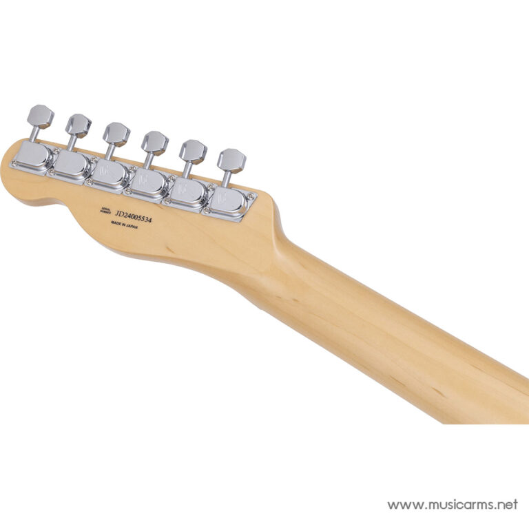 Fender Limited Edition Made in Japan Telecaster in Black Paisley ขายราคาพิเศษ