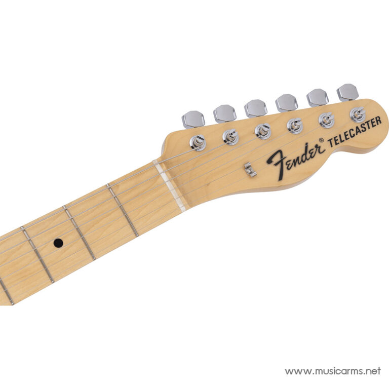 Fender Limited Edition Made in Japan Telecaster in Black Paisley ขายราคาพิเศษ