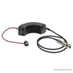 Fishman Fluence Acoustic Rock Icon Pickup ขายราคาพิเศษ