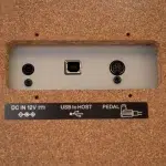 Back panel of a device showing DC 12V input, USB-to-host port, and a pedal connector inside a cork-bordered enclosure. ขายราคาพิเศษ