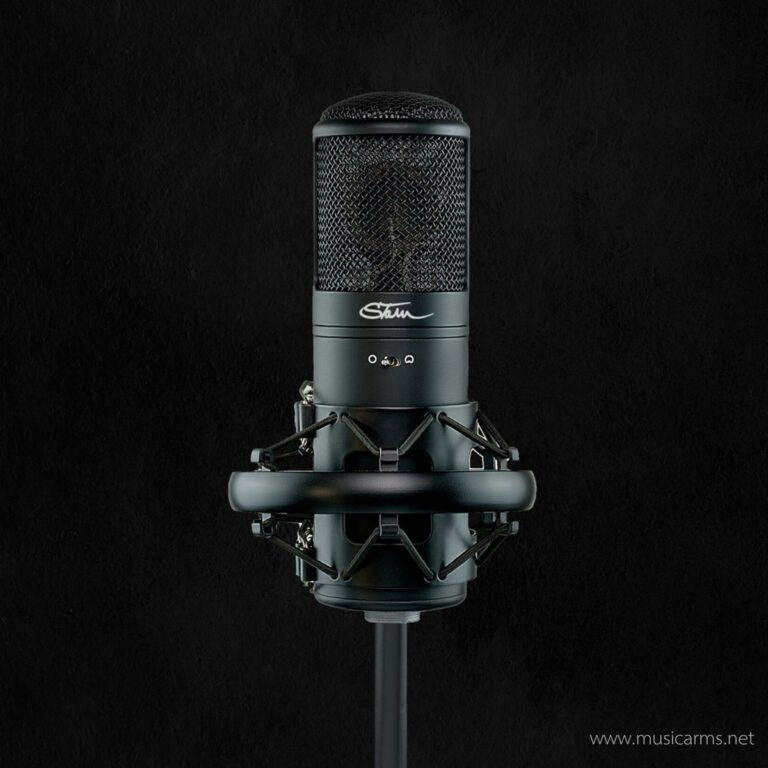 Stam Audio SA-800G ขายราคาพิเศษ