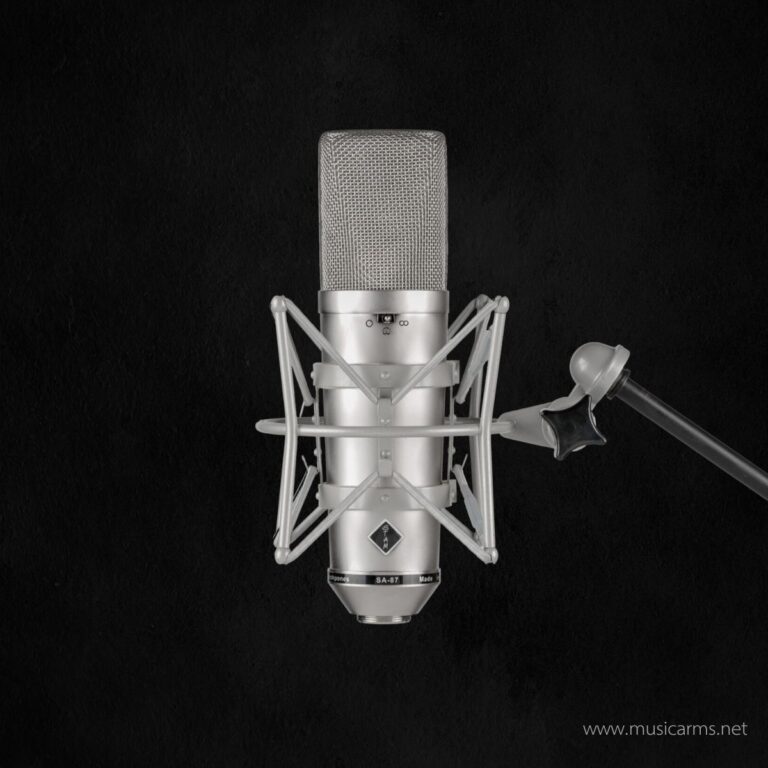 Stam Audio SA-87i ขายราคาพิเศษ