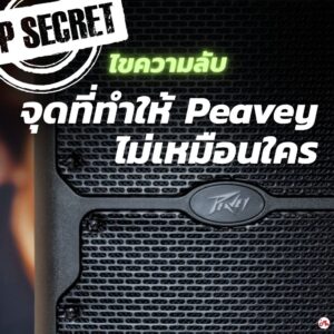 จุดที่ทำให้ Peavey ไม่เหมือนใคร: ไขความลับ Sound Reinforcementราคาถูกสุด