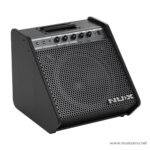 NUX NPA-100 Personal Monitor Speaker ขายราคาพิเศษ
