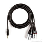 Planet Waves PW-MPXLR-06 สายแปลงแจ็ค Aux จาก 3.5 mm เป็น XLR 2 หัว ยาว 6 ฟุต สำหรับต่อมือถือกับระบบเครื่องเสียง ขายราคาพิเศษ