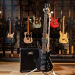 Warwick Corvette Basic 5 Multi Scale เบสไฟฟ้า ลดราคาพิเศษ