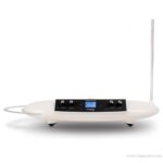 Moog Theremini  ซินธิไซเซอร์ ลดราคาพิเศษ
