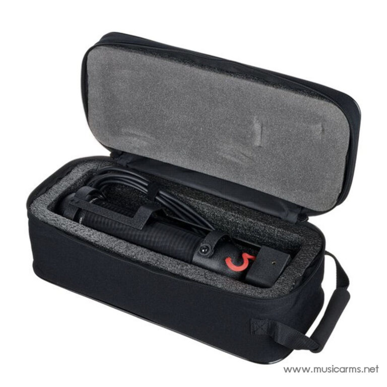 AEA R88A ไมโครโฟนริบบอน ขายราคาพิเศษ