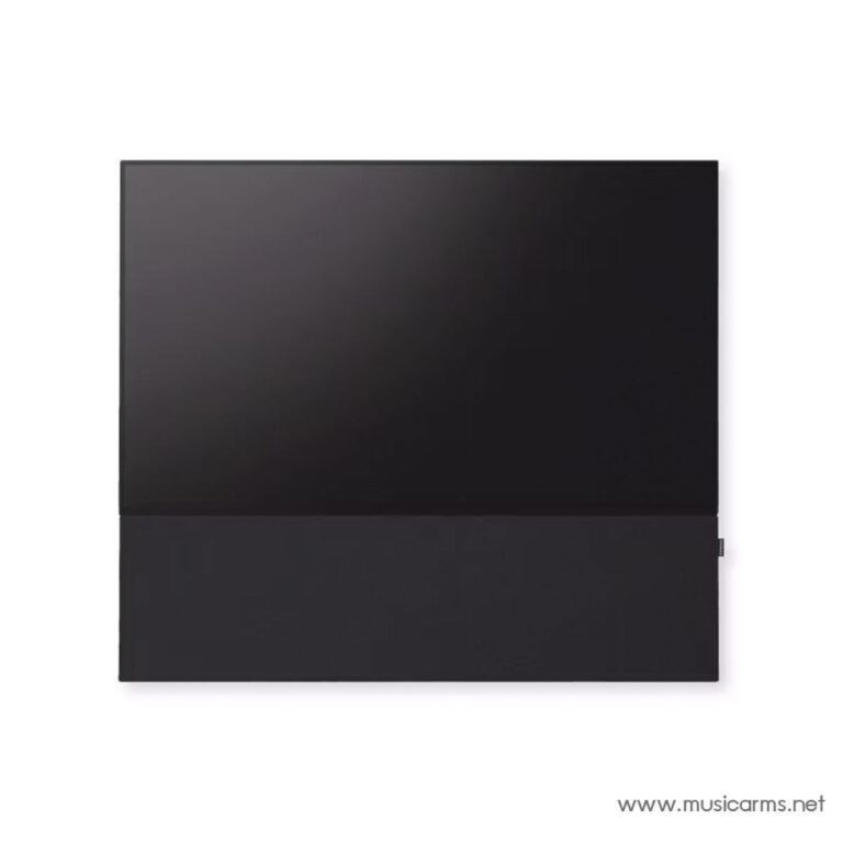 Canvas 65 ขายราคาพิเศษ