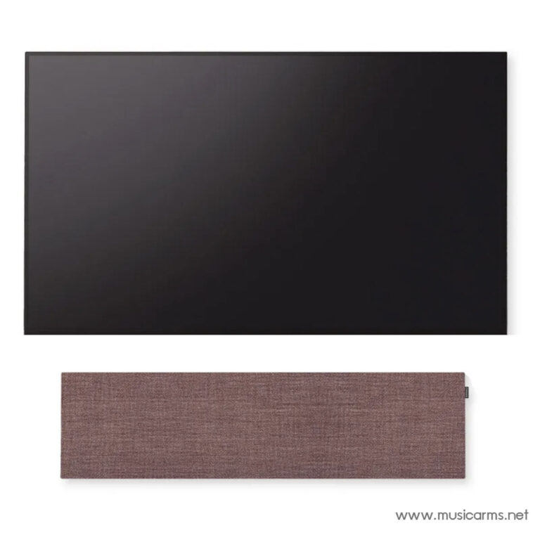 Canvas Solo ขายราคาพิเศษ