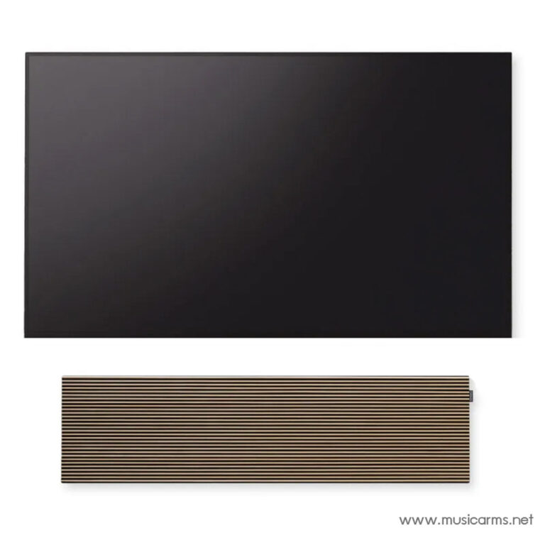 Canvas Solo ขายราคาพิเศษ