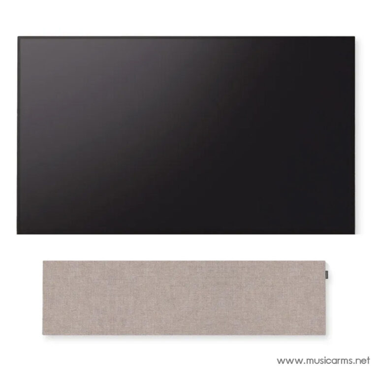 Canvas Solo ขายราคาพิเศษ